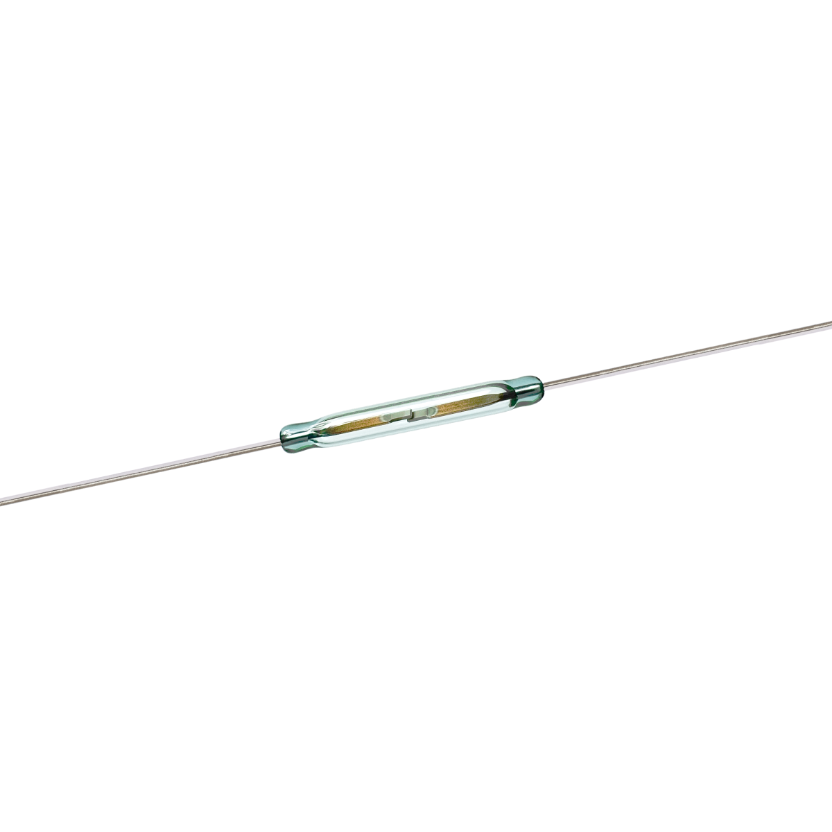 Champ Life Reed All Reed Switches | Standex Detect