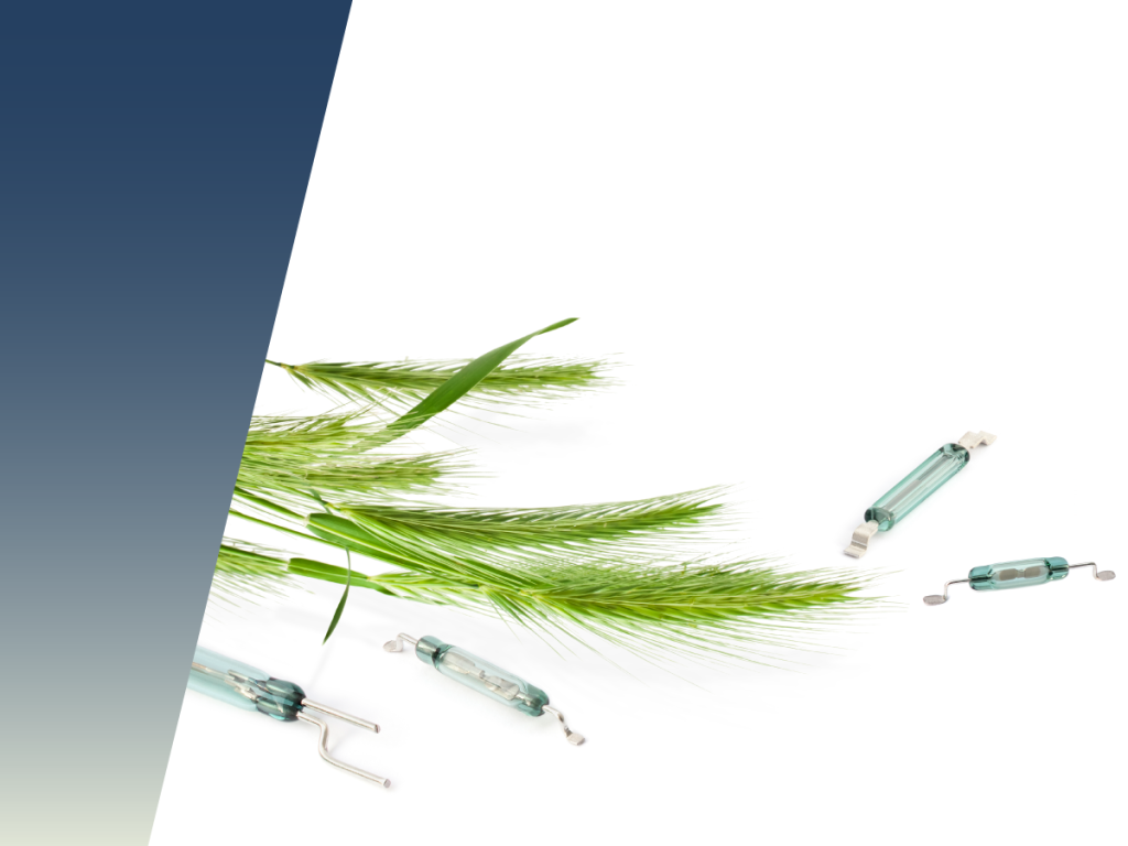 Green grass stems and several small glass fuses are arranged on a white background, with a blue gradient triangle on the left side, illustrating power efficiency with Reed Switch Technology. by Standex Detect