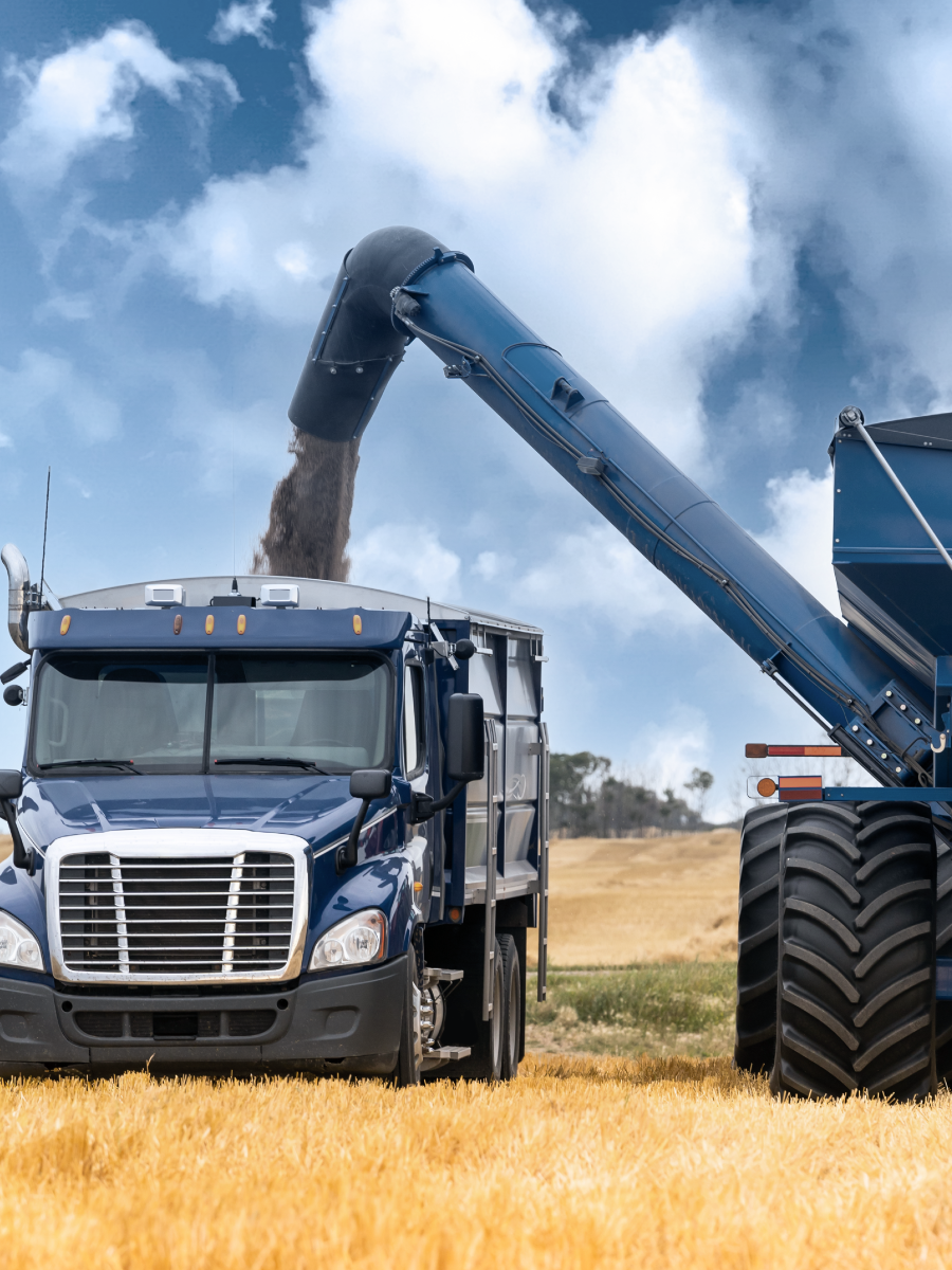 A blue lorry is being loaded with grain from a large agricultural machine in a field under a partly cloudy sky, showcasing advanced agricultural applications. by Standex Detect