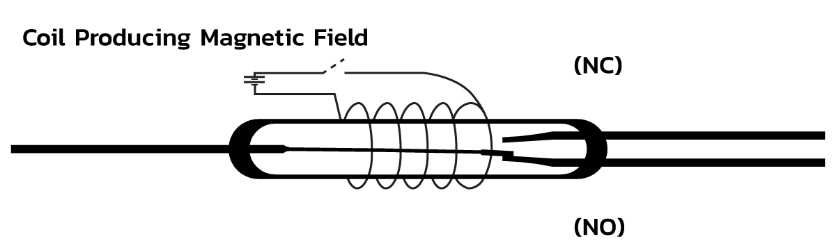 Diagram of a relay switch with a coil producing a magnetic field, showing connections to normally closed (NC) and normally open (NO) contacts. Ideal for power efficiency solutions. A dashed line indicates the switching mechanism. by Standex Detect